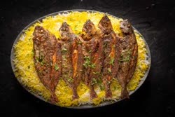 SAFI GRILL 1kg
