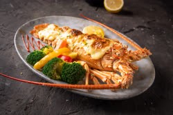 SHELL FISH
